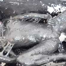 Kaydens: Kaydens Struggles in Sticky Black Goo