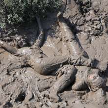 DungeonMasterOne: Denims in the Mud with Felicity and Maude!