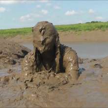 DungeonMasterOne: Denims in the Mud with Felicity and Maude!