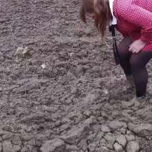 Northern Wam: Dots and Mud