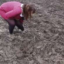 Northern Wam: Dots and Mud