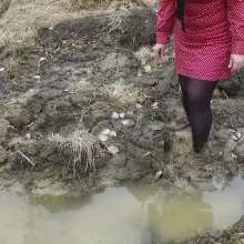 Northern Wam: Dots and Mud