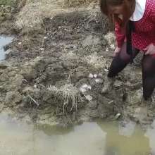 Northern Wam: Dots and Mud