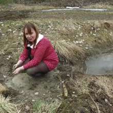 Northern Wam: Dots and Mud