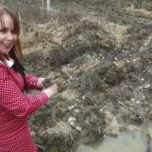 Northern Wam: Dots and Mud