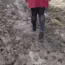 Northern Wam: Dots and Mud