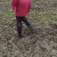 Northern Wam: Dots and Mud