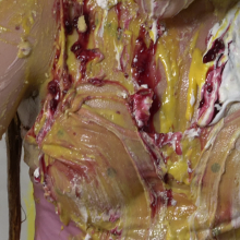 Beantwn: Pigtails and Pajamas and Pies (and slime) Oh My
