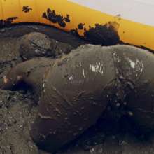 CreamMeAgain: First Mud