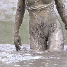FOXY: restart of Foxy sites and mud news