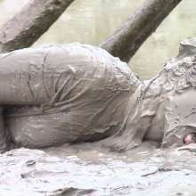 FOXY: restart of Foxy sites and mud news