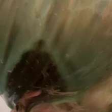 Top Messy Girls: Girl Playing in a Bath with Slime