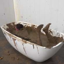 WamtasticUK: James Skinny Suit Mud Bath Duck Challenge
