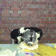 WamtasticUK: Nathan What's In My Pie Messy Cream Pies and Gunge
