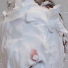 beansinboxers1: 
