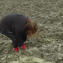 Northern Wam: Red Heels Last Time