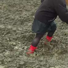 Northern Wam: Red Heels Last Time