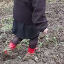 Northern Wam: Red Heels Last Time