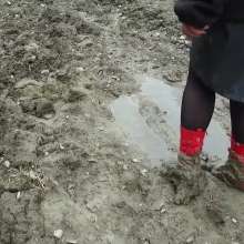 Northern Wam: Red Heels Last Time