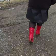 Northern Wam: Red Heels Last Time