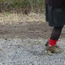 Northern Wam: Red Heels Last Time