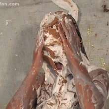 Anglefan: Danielle's first pie!