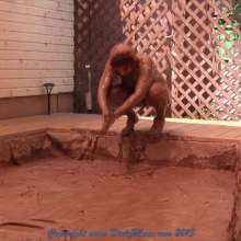 Dirty Muse: Boue Parts 1, 2, and 3