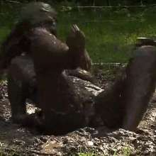 WSMProductions: Custard Couple in Muddiest Couple Play Movie