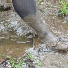 JD and Messy Andi: Scouting muddy locations