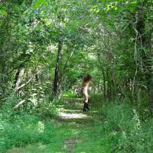 dlodoski: Bazoomba, Alone in the Swamp--Photos