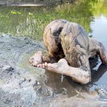 Alana SexyMessyBabes: Naked Mud Slut