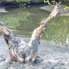 Alana SexyMessyBabes: Naked Mud Slut