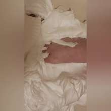 curiousvixen84: New Download: Massive Shaving Cream Pies
