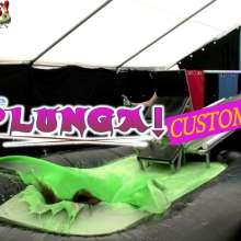 LiquidX: Plunga!  Customs Form Live