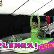 LiquidX: Plunga!  Customs Form Live