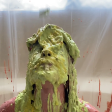 Slimed Models: Slime Olympics 2022: Vivi's Video