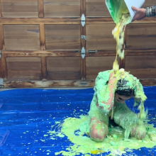 Slimed Models: Zoe Wild's Slime Olympic Submission