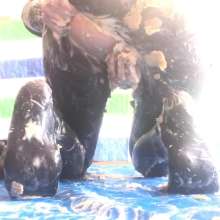 VioletVixen: Self-Inflicted Cummishment--Gagged Messy Bitch