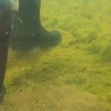 WetandMuddy: Video 85--I Can See Clearly Now