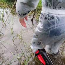 WetandMuddy: Video 85--I Can See Clearly Now
