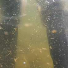 WetandMuddy: Video 85--I Can See Clearly Now