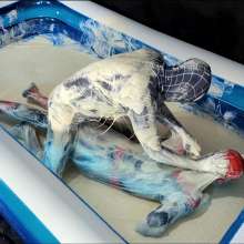 GungeMad: Wrestle:04