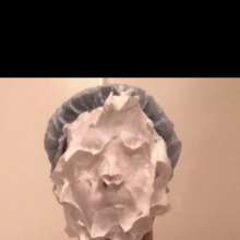 CreamPiedClown: Record my pie in the face on Skype