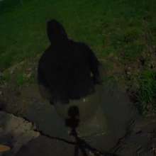 Swamp Angel: 71 Mud Monn Ritual Loincloth