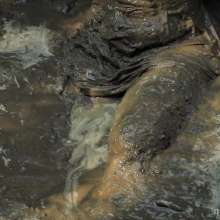 QS4Ever: Another Clay Pit with Tiny Soya
