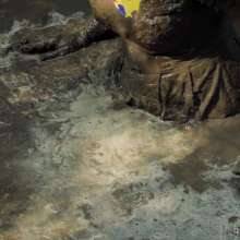 QS4Ever: Another Clay Pit with Tiny Soya