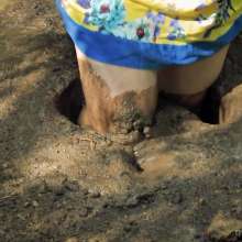 QS4Ever: Another Clay Pit with Tiny Soya