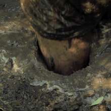 QS4Ever: Another Clay Pit with Tiny Soya
