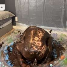 MissNoire - EffToy: Messy Sissy Anal Training in Chocolate Batter