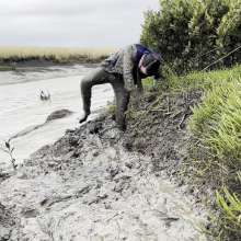 Mudadventurer: Coastal Mud